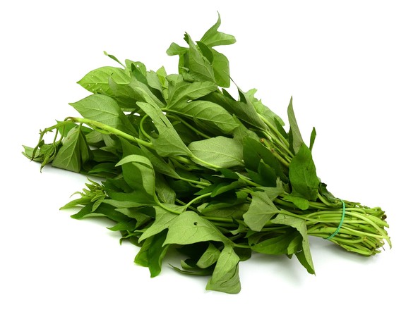 ▲▼排毒抗癌。(圖/今周刊提供)