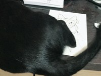「要人摸摸、跟牠說話，久而久之我們感情就越來越好了。」