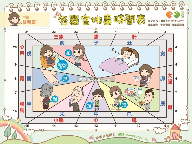 錯過12器官「排毒時間」超傷身！（圖／健談授權提供）