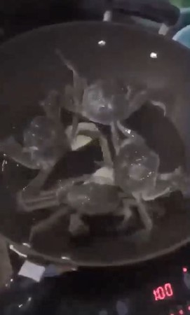 螃蟹哥逃出火海「關火」救夥伴。（圖／翻攝自臉書粉專「紀由屋」）