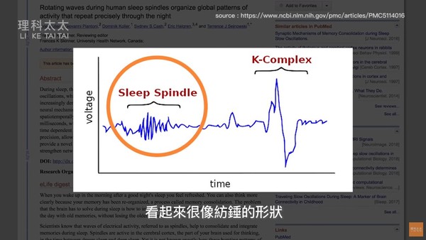 ▲為啥會有起床氣?達人分析睡眠4階段。(圖/理科太太提供)