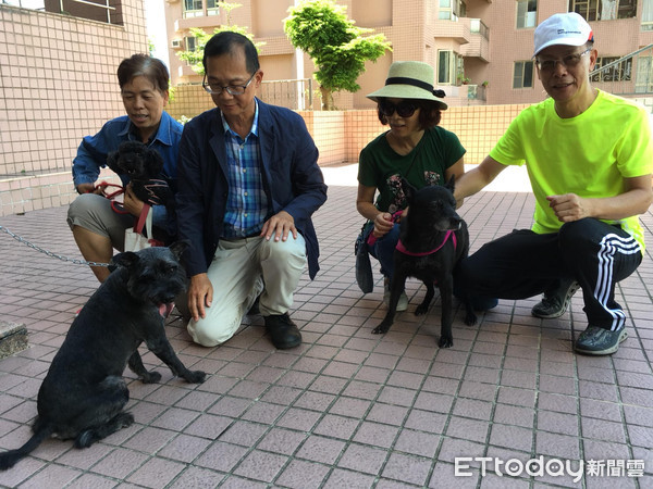 社區犬小雄。（圖／新北市動保處提供）