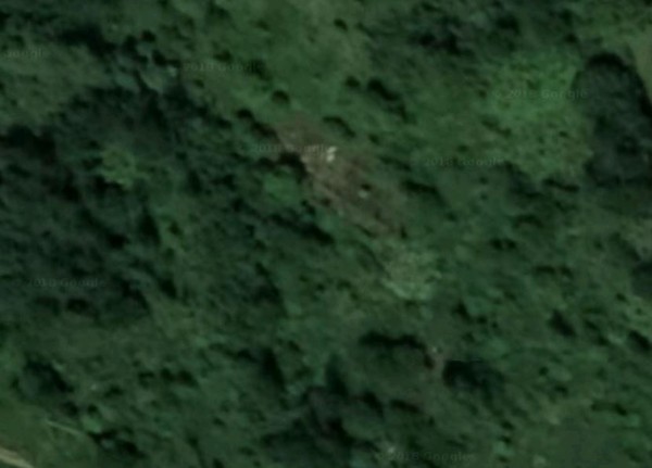 ▲▼科穆那卡地區森林。（圖／翻攝自Google地圖）