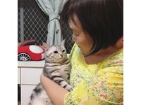 ▲1年前俏皮可愛！貓妹被哥哥帶到「走鐘」　爸心碎：同化了（圖／網友周小威授權提供）