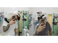 ▲1年前俏皮可愛！貓妹被哥哥帶到「走鐘」　爸心碎：同化了（圖／網友周小威授權提供）