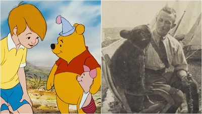真有其熊！維尼熊104年前是倫敦動物園大明星　曾隨獸醫恩人入軍伍