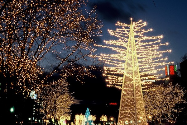 ▲入夜後，閃亮無比的北海道札幌白色燈樹節。（圖／日本觀光局提供）