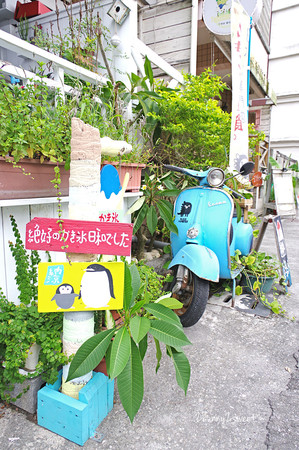 ▲浪花丸。（圖／兔兒毛毛姊妹花提供）