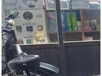 ▲暖男蓋貓窩給浪浪過冬　網揪「角落怨念雙眼」笑噴：抓包小三。（圖／飼主蘇子銘提供）