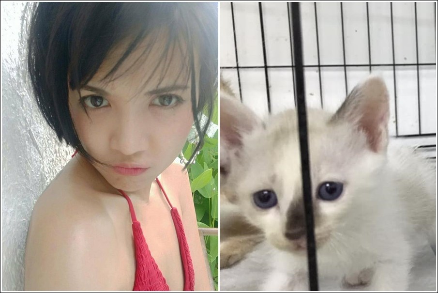 ▲泰國一位DJ女假扮愛貓人士領養貓，最後貓咪慘死。（圖／翻攝自臉書）