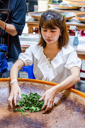 ▲▼紅茶莊園。（圖／小虎食夢網提供）