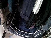 ▲▼白貓蜜糖。（圖／媽咪蜜寶提供，請勿隨意翻拍，以免侵權。）