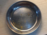 ▲▼白貓蜜糖。（圖／媽咪蜜寶提供，請勿隨意翻拍，以免侵權。）