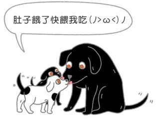 ▲為什麼狗狗喜歡舔人的嘴巴?(圖/毛起來 MaoUp授權提供,請勿任意使用)