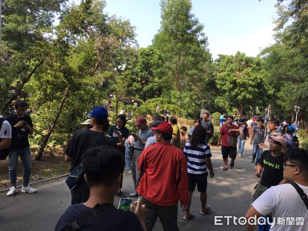 ▲Pokémon GO Safari Zone in Tainan 活動，11月1日至5日一連天在台南市舉辦，成功吸金吸人氣，為台南帶來巨大經濟效益。（圖／記者林悅攝，下同）