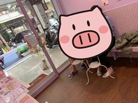她曾經好幾次「跟蹤」浪浪想要餵食，甚至請網友協助抓紮，卻都因為喵喵太過怕生而失敗。
