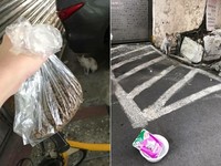 看見原本怕生的毛孩竟然主動親近，她感動得在臉書社團分享一系列「店長日記」，期待早日融化浪浪的心。