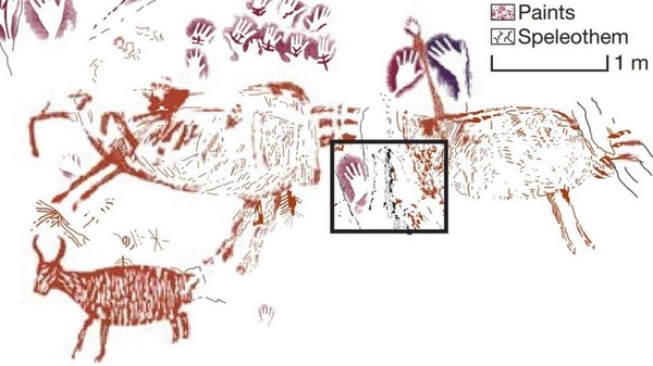 ▲考古團隊在印尼婆羅洲的洞穴裡發現至少有4萬年歷史、疑似公牛圖案的岩洞壁畫。(圖／翻攝自網路)