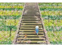▲幾米繪本作品。（圖／翻攝幾米S.P.A官方粉絲頁）