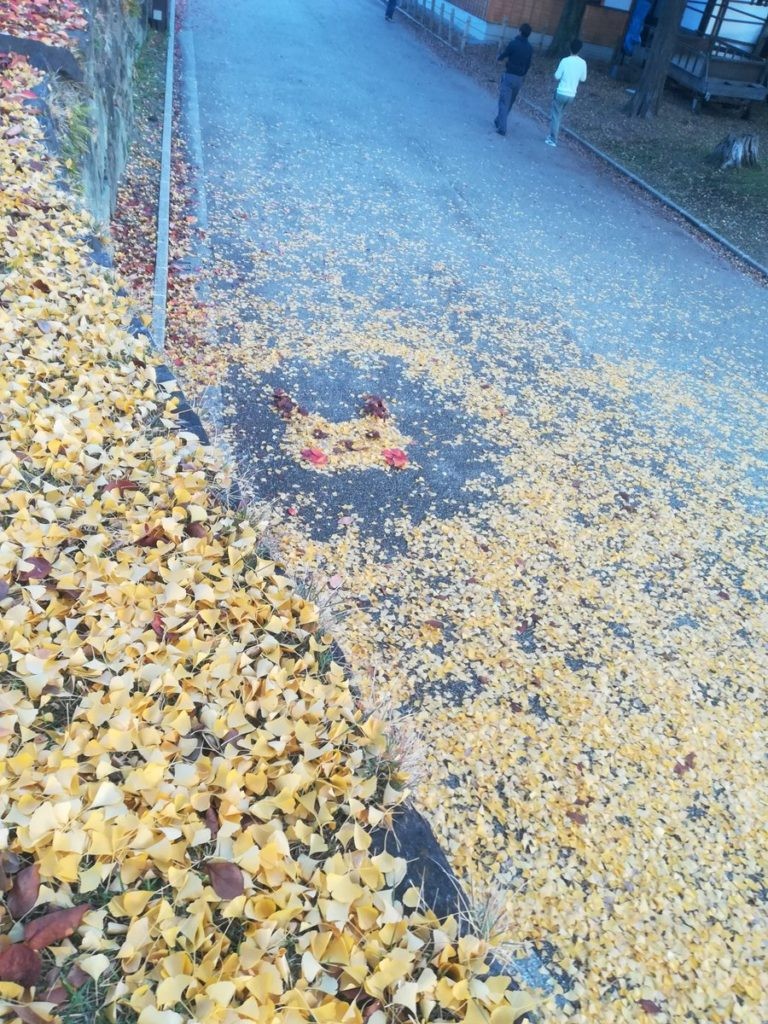 ▲▼日本網友路過發現有人用落葉堆了皮卡丘。（圖／翻攝自推特，96irodorimidori）