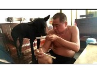 交代要顧家...歐告超殺眼神+鐵棍。（圖／飼主‎薛妏提供，請勿隨意翻拍，以免侵權。）
