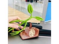 至於先前瘋傳年輕版的麥教授會不會現身？奎妮在預告中似乎遇到困境，發生什麼事？