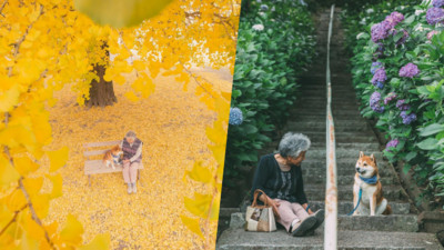 「奶奶，阿福，花海。」日本攝影家回鄉　陪奶奶拍遍餘生所有風景