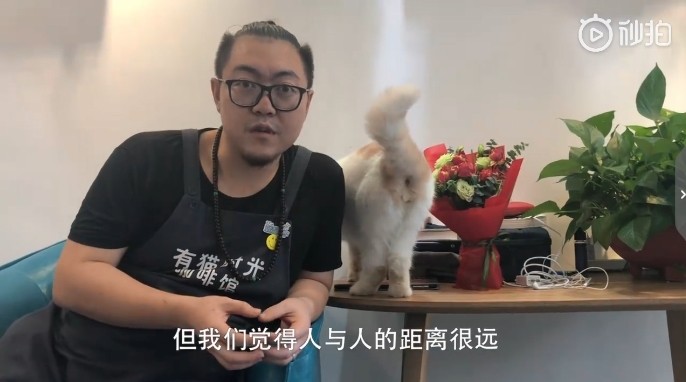 ▲廣州一間貓咪咖啡廳老闆是90後，放棄買房子開店。（圖／翻攝自廣州日報影片，下同）