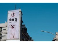 一定要投小肉包一票啦！