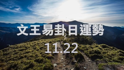 文王易卦【1122日運勢】求卦解先機