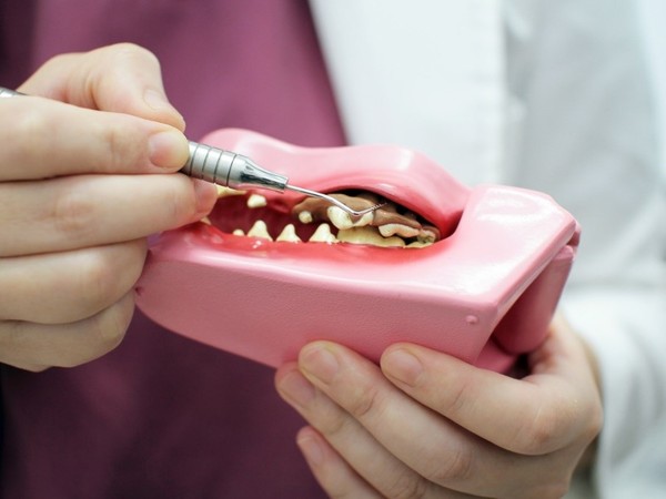 ▲▼洗牙過程學問多，獸醫師親自來解惑。（圖／業者提供）