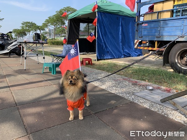 ▲水果攤商的愛犬也成了插國旗的「韓犬」             。（圖／記者吳奕靖攝）