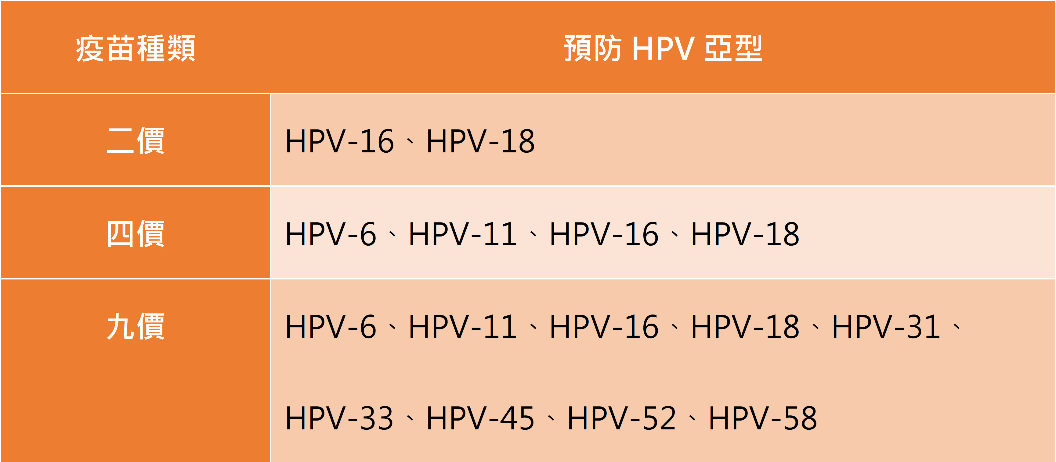 ▲▼子宮頸癌疫苗。(圖/kingnet國家網路醫藥)