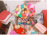 ▲▼貓魂柴頭塞水管ㄎㄧㄤ掉！翹屁股狂吸1小時　網驚：這批很純（圖／網友石小姐授權提供，請勿隨意翻拍，以免侵權。）