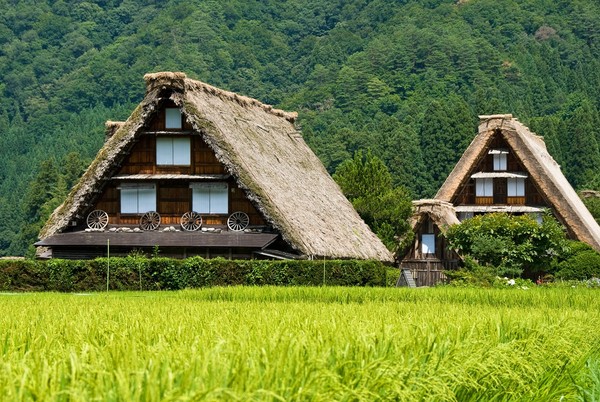 ▲如童話世界翻版的白川鄉合掌村。（圖／shutterstock.com提供）