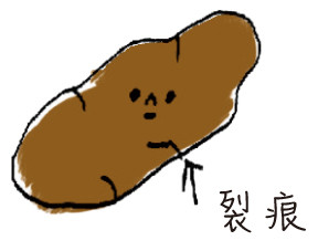 ▲▼大便一家人。(圖/蘋果屋提供)