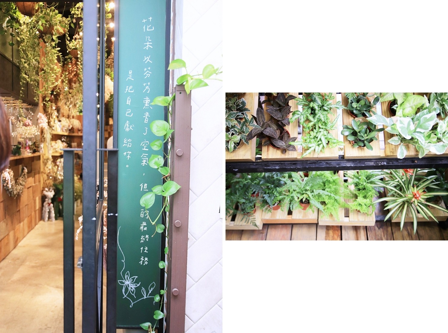 ▲▼ 台北松山文創Fuji flower cafe。（圖／規小孫  提供）