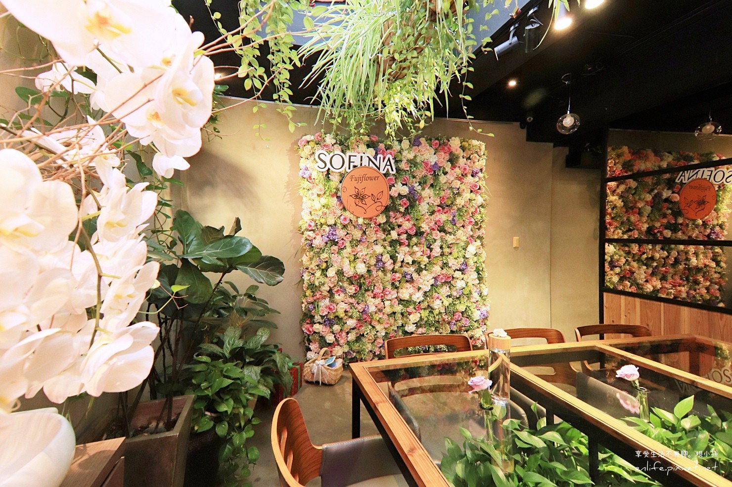 ▲▼ 台北松山文創Fuji flower cafe。（圖／規小孫  提供）