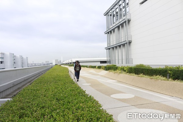 ▲▼東京豐洲市場。（圖／記者蔡玟君攝）