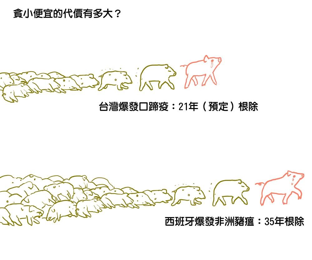 ▲▼台灣豬vs.非洲豬瘟。（圖／蠢羊與奇怪生物提供，請勿隨意翻拍，以免侵權。）