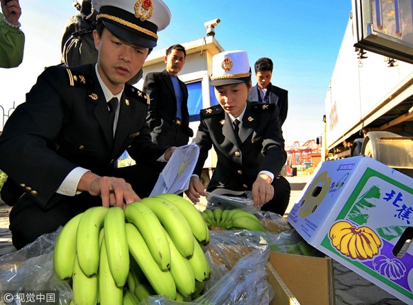 ▲台灣香蕉銷往大陸。（圖／視覺中國）