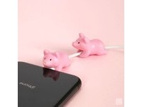 ▲南韓大創豬年周邊商品。（圖／翻攝自南韓大創）