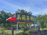 ▲▼玉蘭茶園。（圖／小腹婆大世界提供）