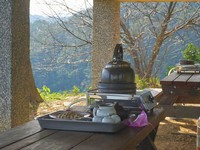在茶園內品茶再適合不過了
