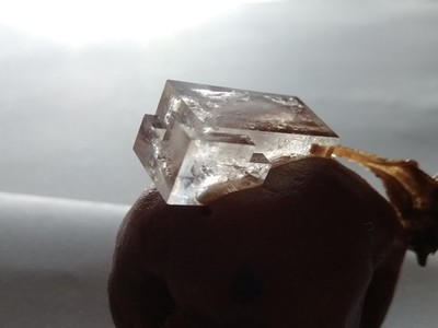 梅干養十年長出「立方晶系礦石」　稀有食鹽結晶美到屏息