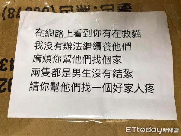 ▲愛媽家門遭丟紙箱打開2隻病貓 「我沒辦法繼續養,麻煩幫找家」。(圖/愛媽邱芷均提供)