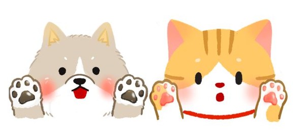 ▲貓咪肉球散發爆米花香?那都是細菌的味道!(圖/毛起來提供)