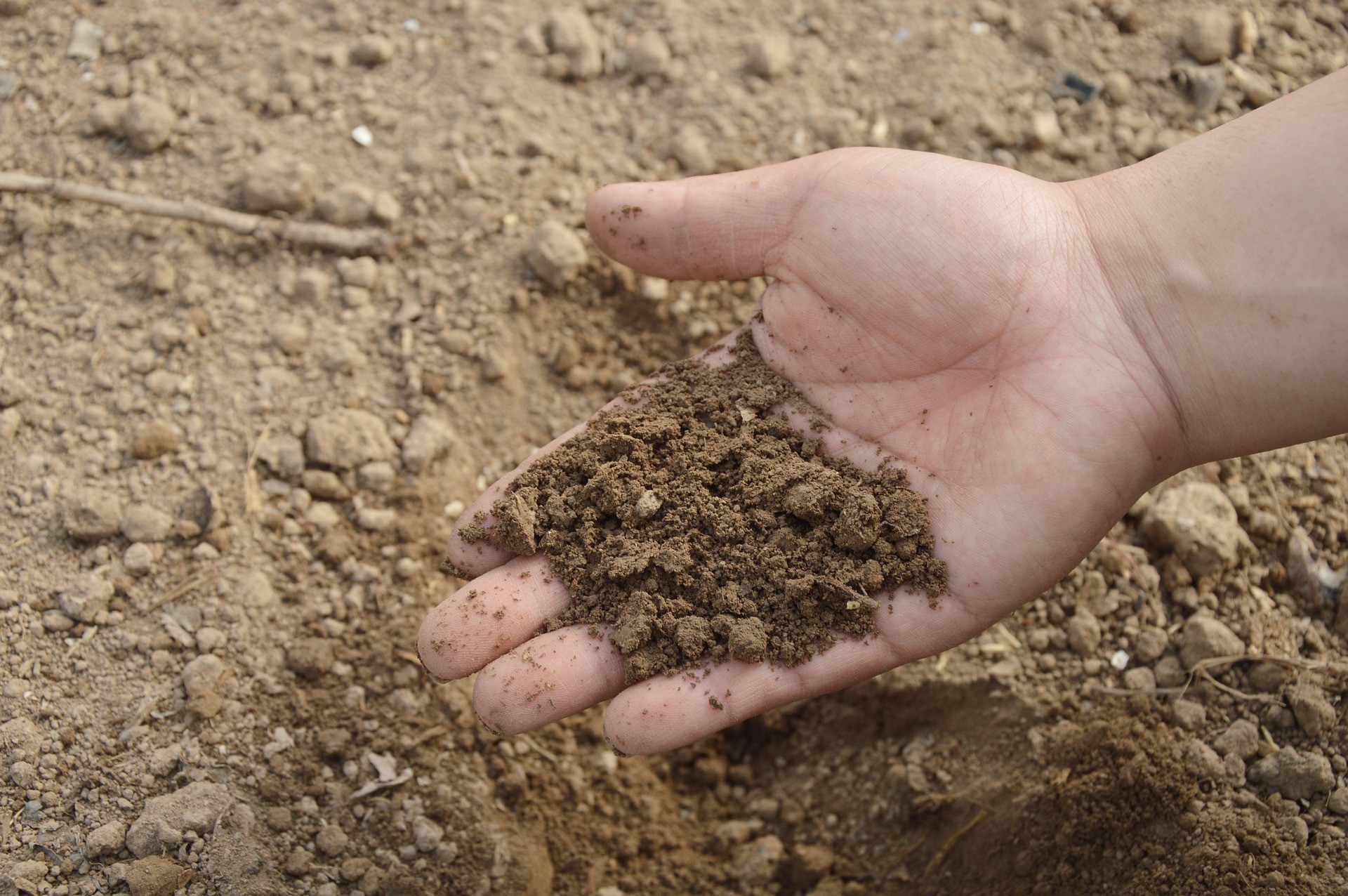 ▲土壤，吃土，泥土，種植，植物，大自然，土地。（圖／pixabay）