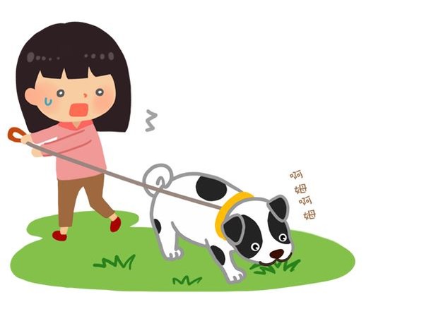 ▲狗狗為啥會吃草?難道牠吃素?(圖/毛起來提供)