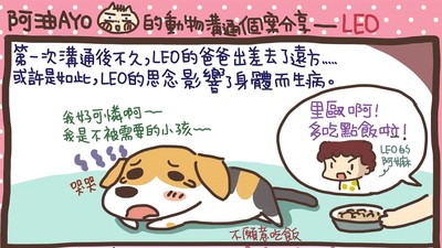 把拔出差沒回家　忠犬思念成疾不吃飯　貓老大淡定搞定牠